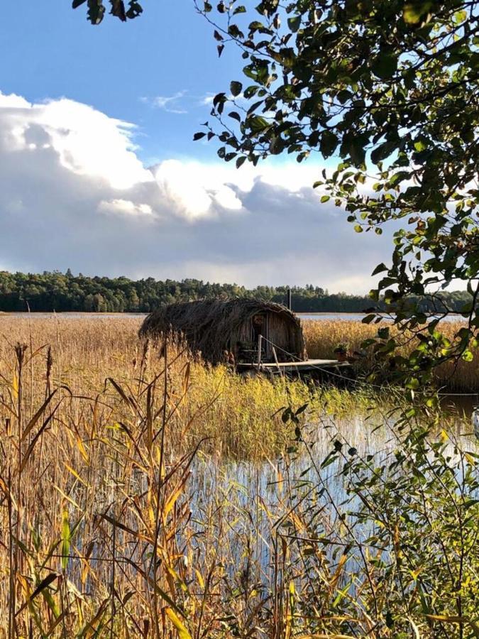 Bebru māja - Beaver house Usma Eksteriør bilde