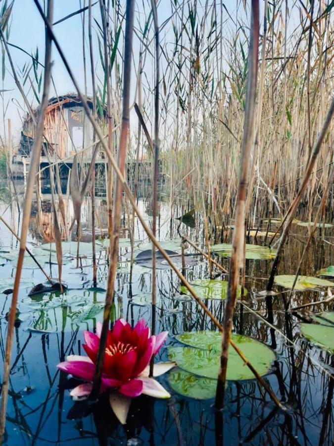 Bebru māja - Beaver house Usma Eksteriør bilde