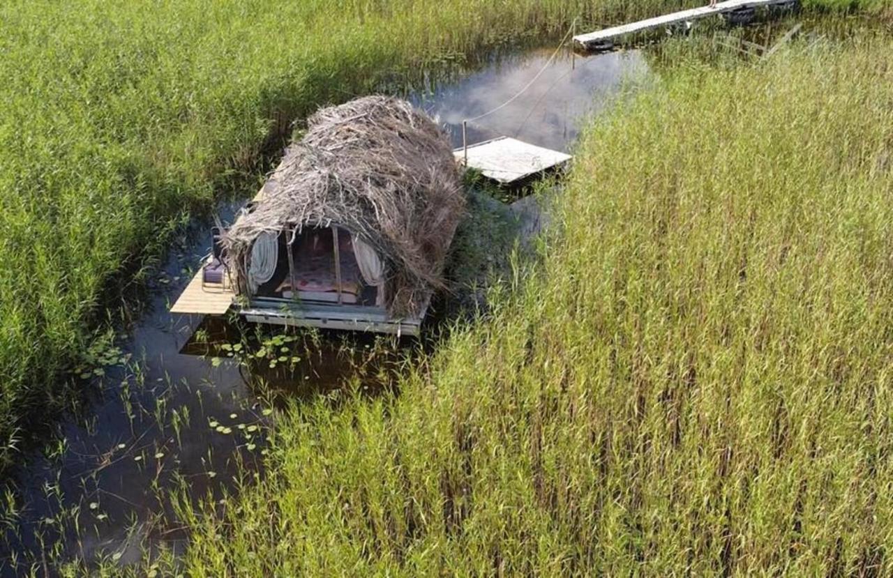 Bebru māja - Beaver house Usma Eksteriør bilde
