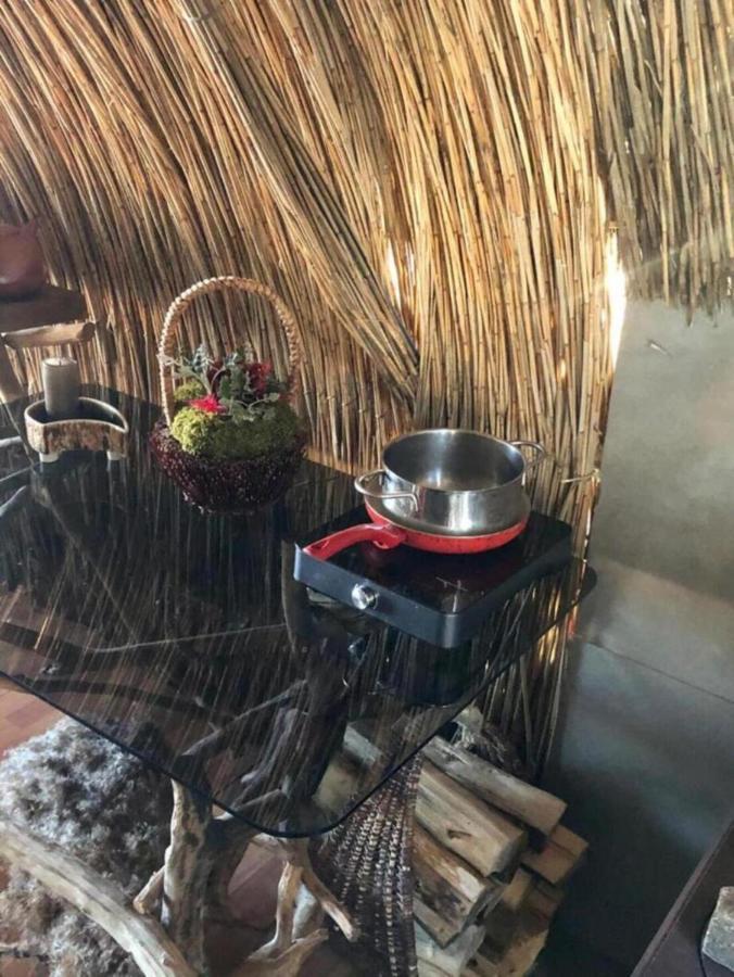 Bebru māja - Beaver house Usma Eksteriør bilde